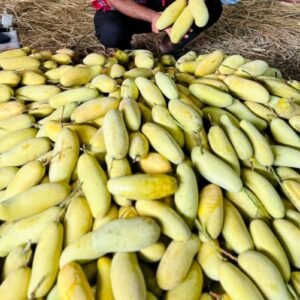 Banana Mango