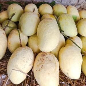 Fazli Mango