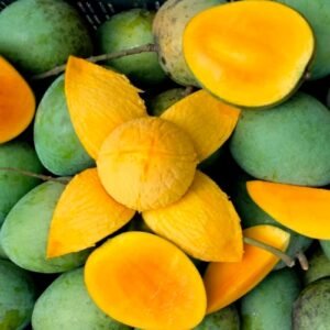 HariVanga Mango
