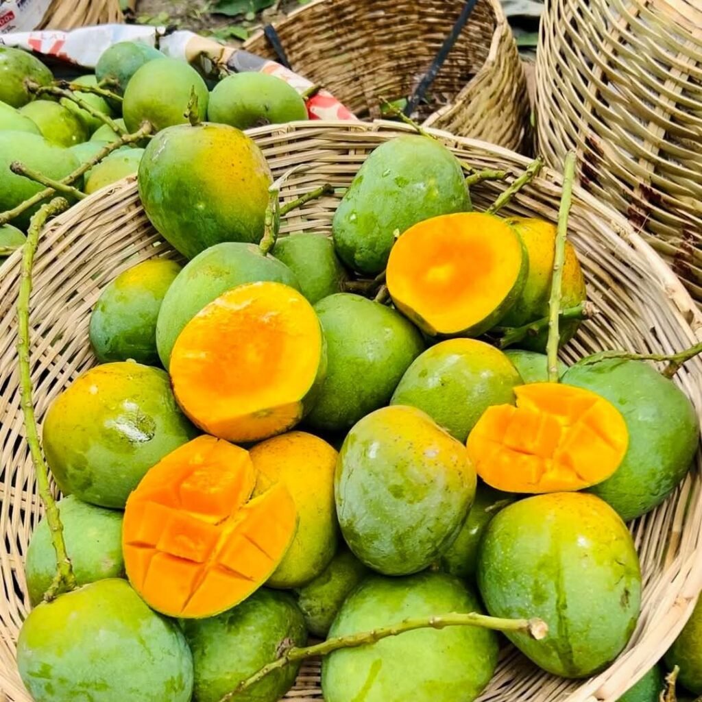 Himsagor Mango